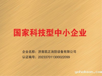 国家科技型中小企业